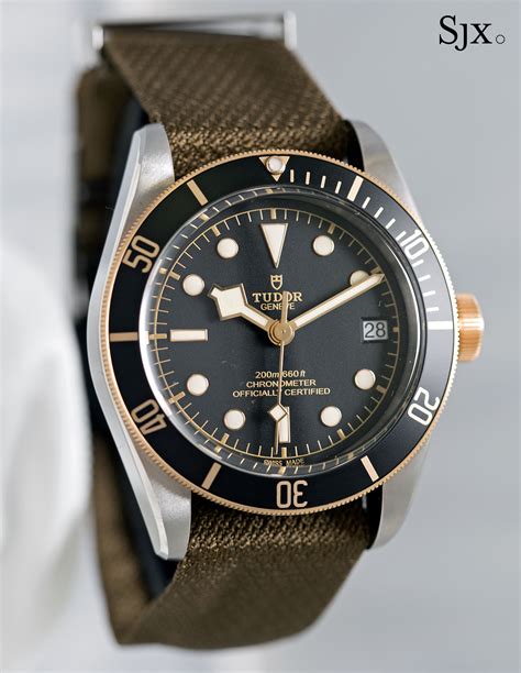 tudor black bay diver|tudor black bay s&g.